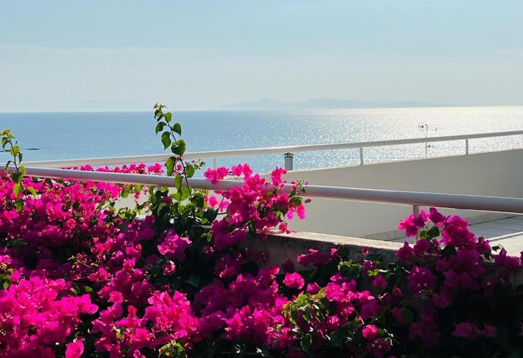 Sea, La Vie Apartment Saronida ภายนอก รูปภาพ